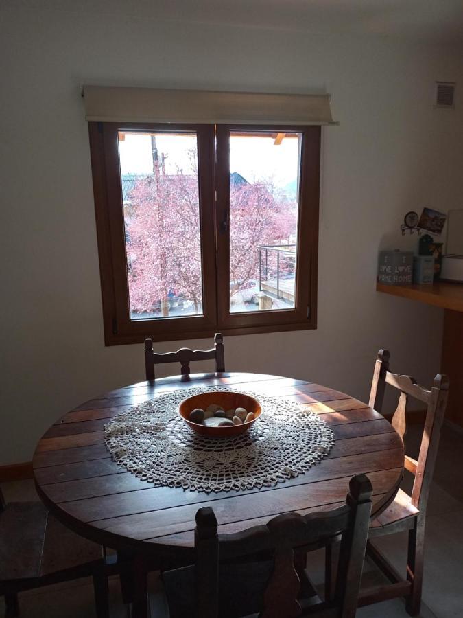 Comodo Departamento Centrico En San Martín de los Andes 外观 照片