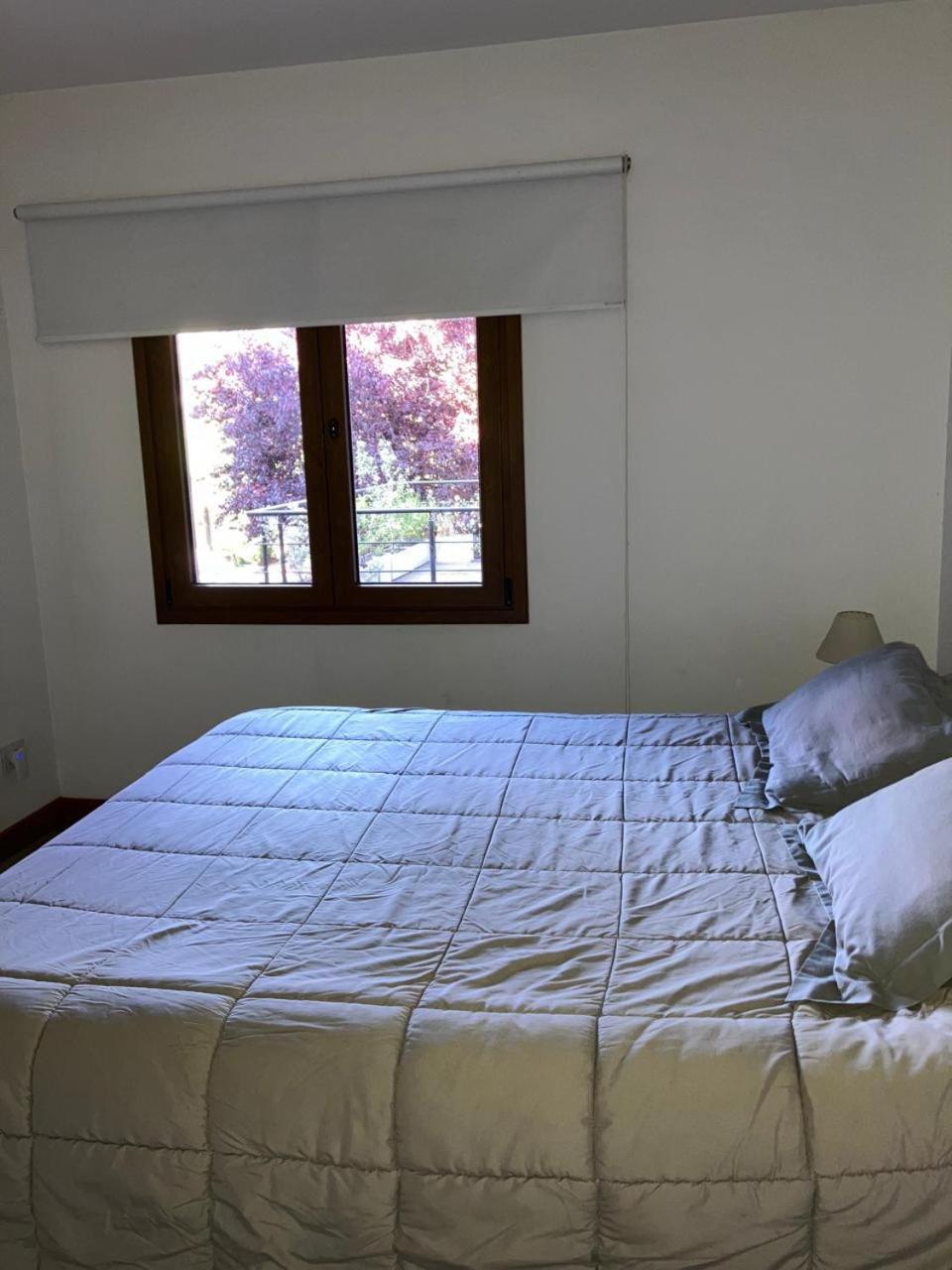 Comodo Departamento Centrico En San Martín de los Andes 外观 照片